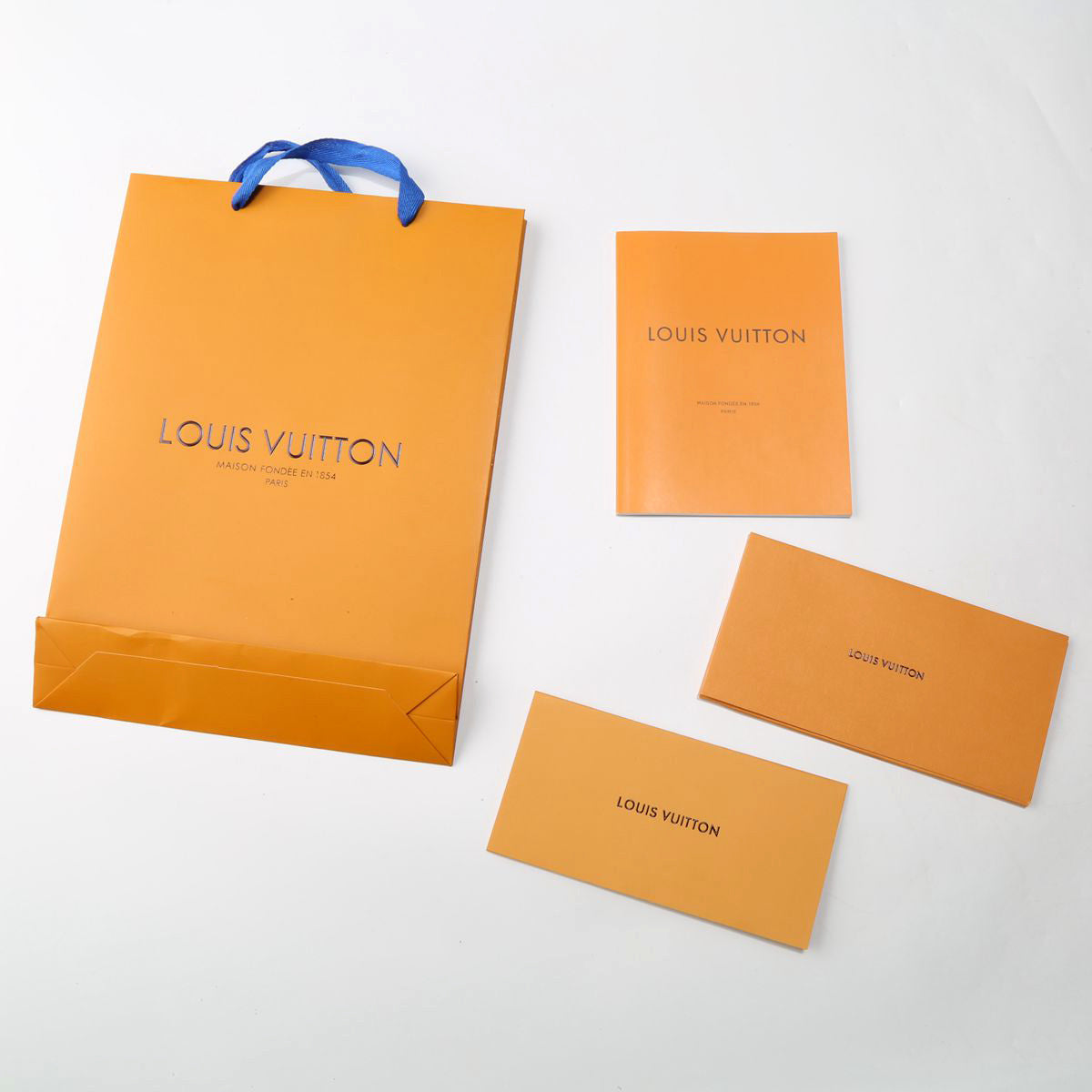 Louis Vuitton Laptop Case